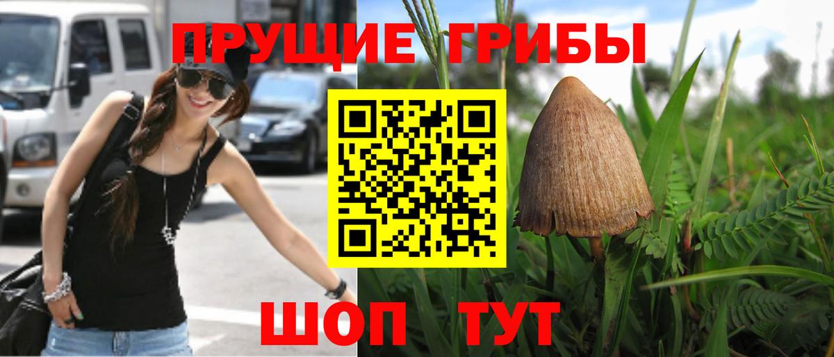 Галлюциногенные грибы прущие грибы  Вход с VPN  Воронеж 
